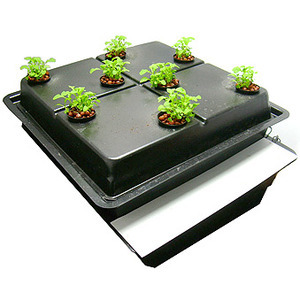 Propagation Grow Tent Kit 60x60x150cm T5 Grow Light Propagator Seedlings Plants
